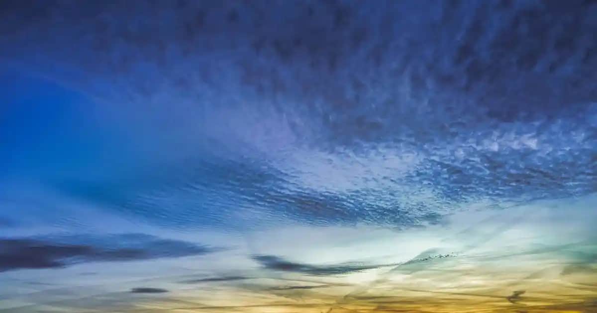 Kendi Kendini Temizleyen Taraklar: Günlük Saç Bakımında Yenilikçi Çözüm ve Avantajlar