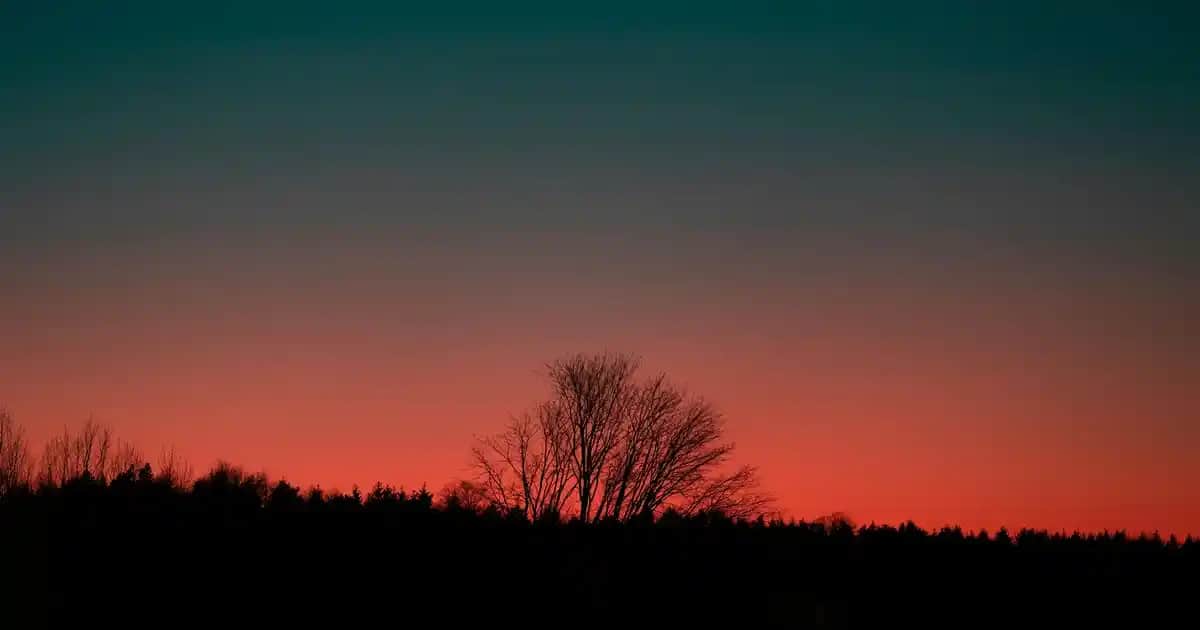Kırmızı Sivilce Nedir, Nedenleri ve Etkili Çözüm Yöntemleri Hakkında Kapsamlı Bilgi