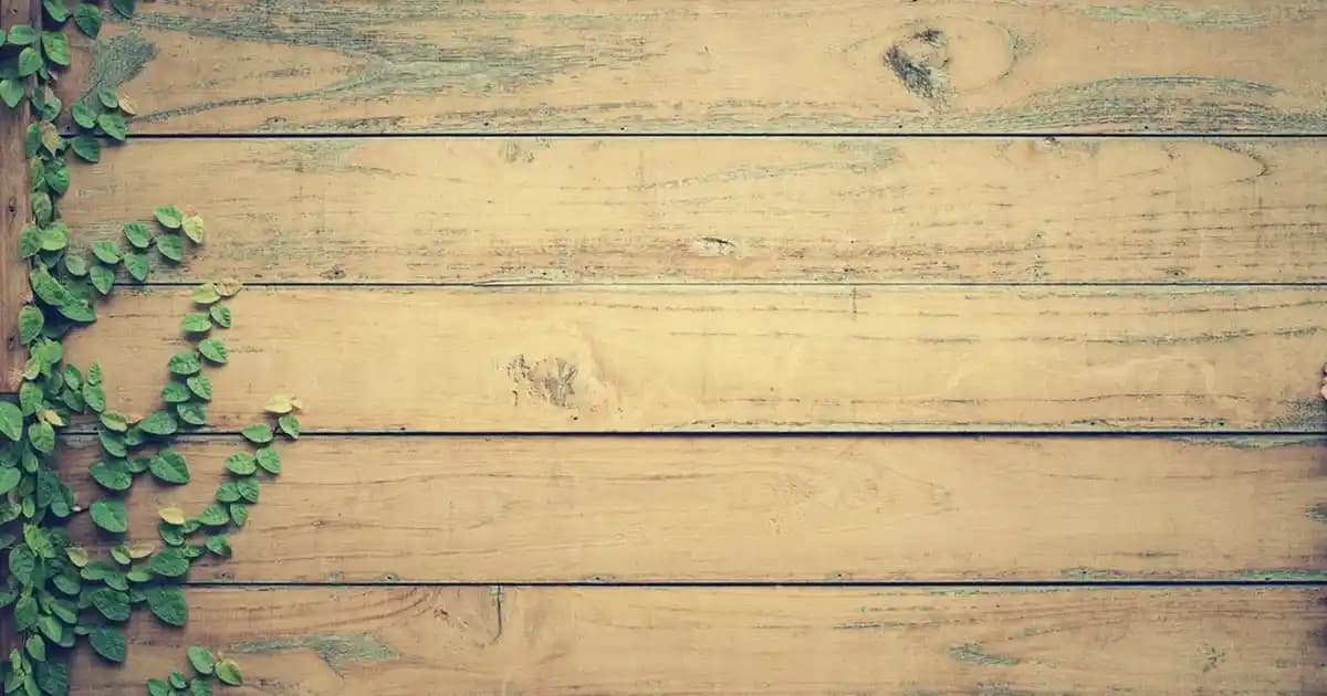 Kızıl Röfle: Doğal Güzellik ve Sıcak Tonlar İçin Popüler Saç Boyama Tekniği