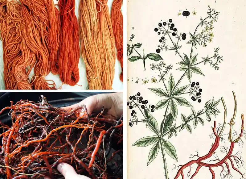 Kök Boyası Nedir, Nasıl Kullanılır ve Doğal Güzellik İçin Neden Tercih Edilir