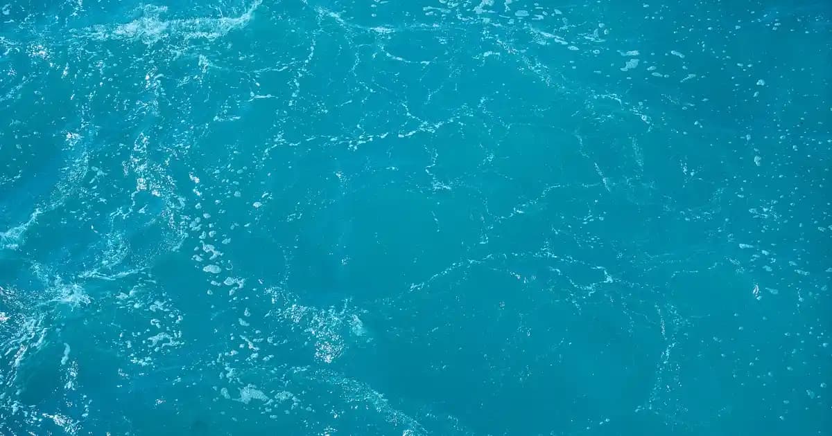 Kokulu Sabunlar: Cilt Bakımı ve Aromaterapi İçin Doğal ve Sentetik Seçenekler