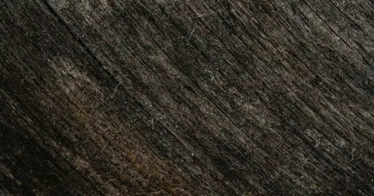 Kollarda Güneş Lekelerine Karşı Etkili Korunma ve Giderici Yöntemler