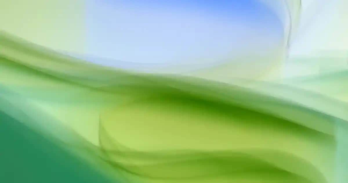 Koyu Sarı Renk Kodu ve Kozmetikte Doğru Ton Seçimi Rehberi