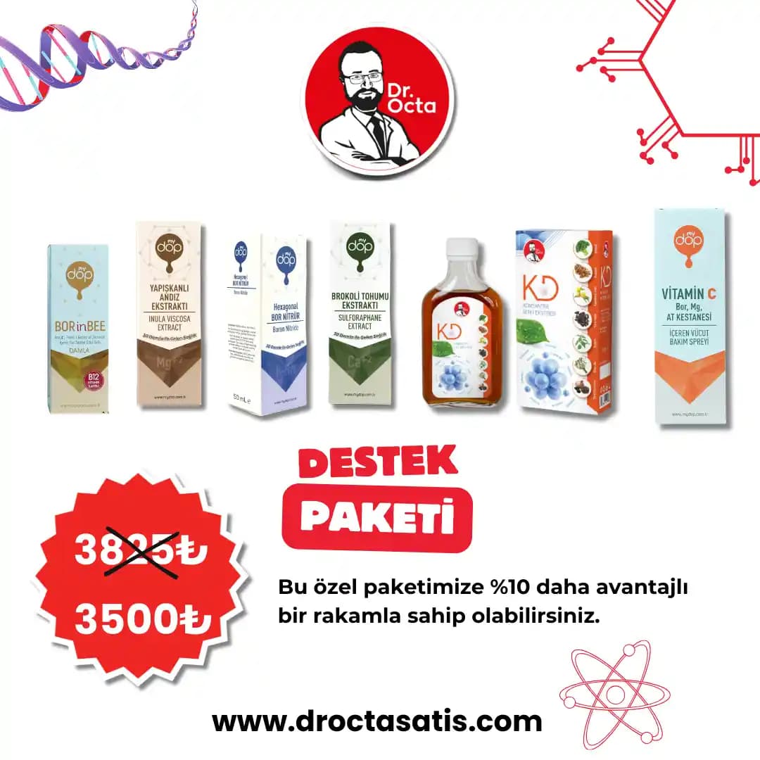 Kozmetik Dünyasında Destek Ürünlerinin Rolü ve Kullanım İpuçları