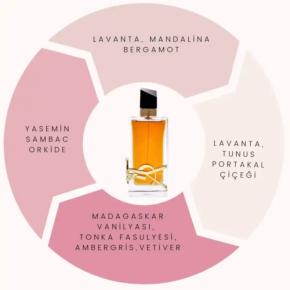 Kozmetik Dünyasında Parfüm Seçiminde Dikkat Edilmesi Gerekenler ve En Popüler Kokular