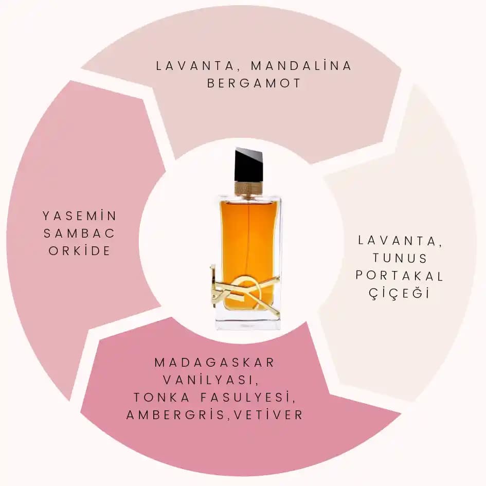 Kozmetik Dünyasında Parfüm Seçiminde Dikkat Edilmesi Gerekenler ve En Popüler Kokular