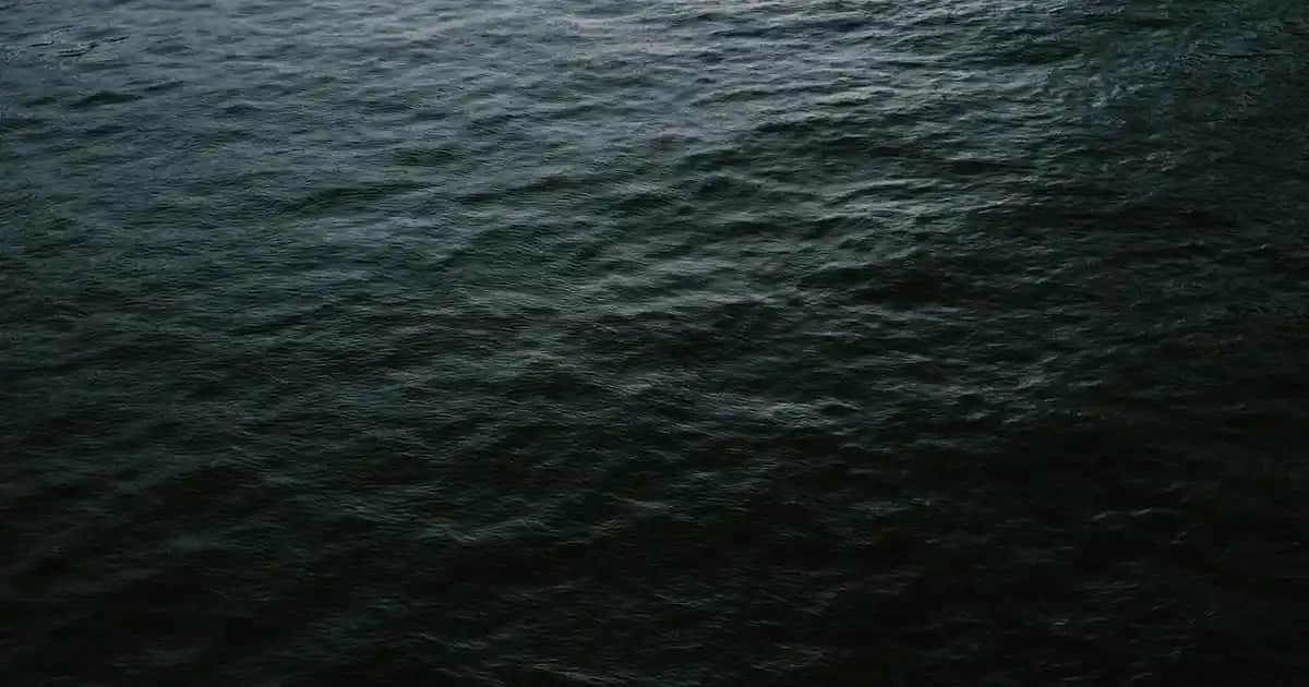 Küllü Siyah Saç Boyası Rehberi: Doğal ve Modern Görünüm İçin En İyi Seçenekler