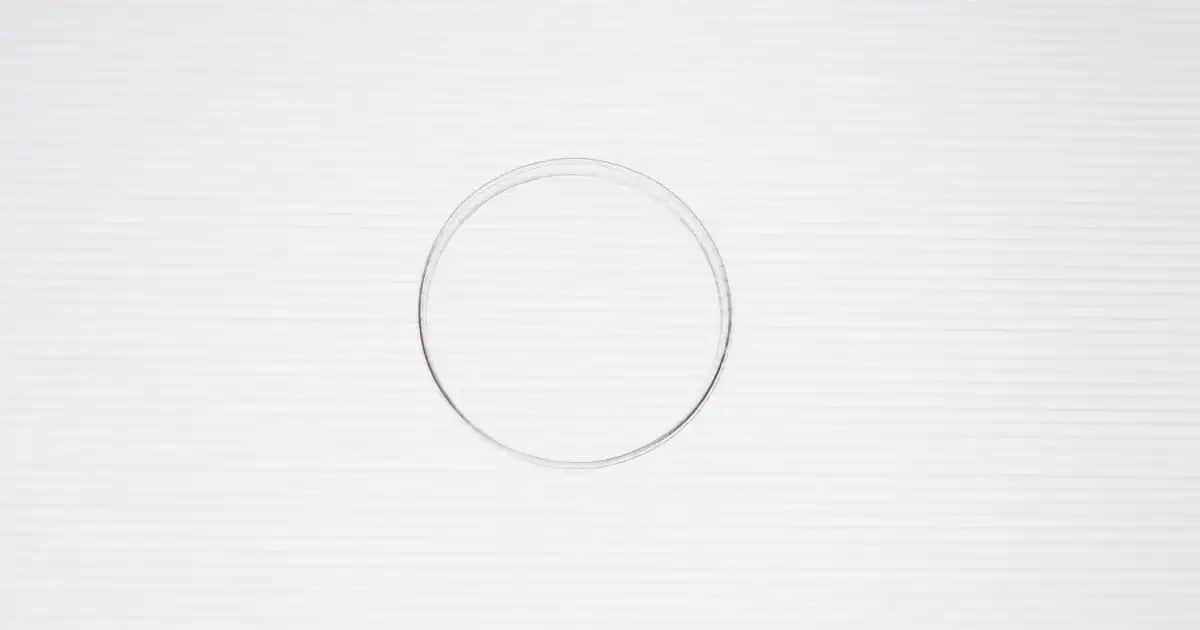 Kuru Ciltler İçin Yağ Bazlı Temizleyici Rehberi ve En İyi Ürün Önerileri