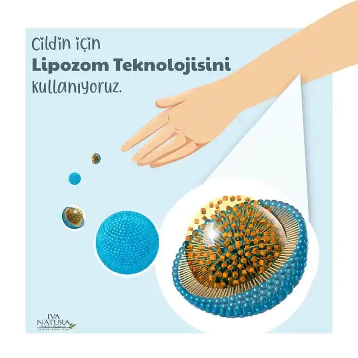 Lipozom Teknolojisinin Kozmetik Sektöründeki Rolü ve Gelecek Trendleri