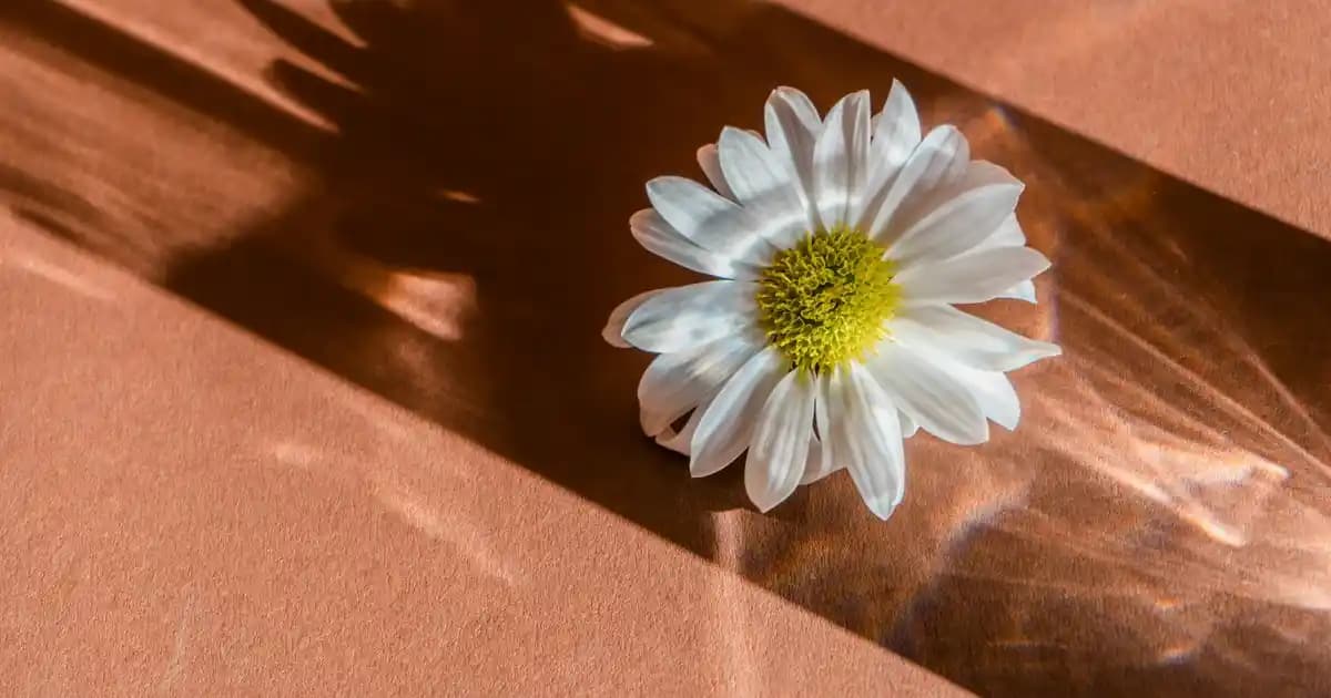 Loreal Paris Üç Etkili Nemlendirici ile Cilt Bakımında Yeni Dönem Başlıyor