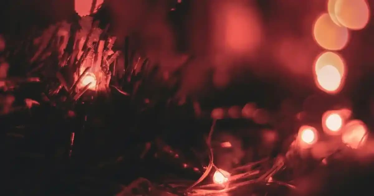 Makyaj Bandı Nedir, Nasıl Kullanılır ve Güzellik Rutininizdeki Önemi