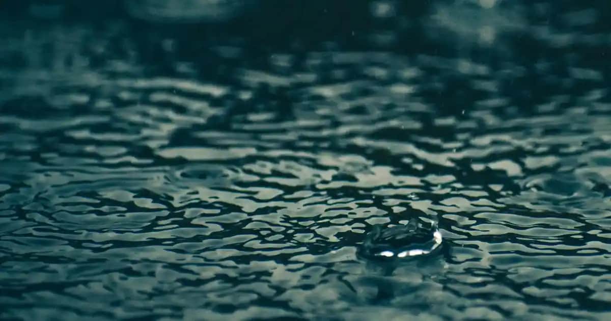 Mantar Akne ve Tetikleyen Yiyecekler: Cilt Sağlığını Koruma Yöntemleri