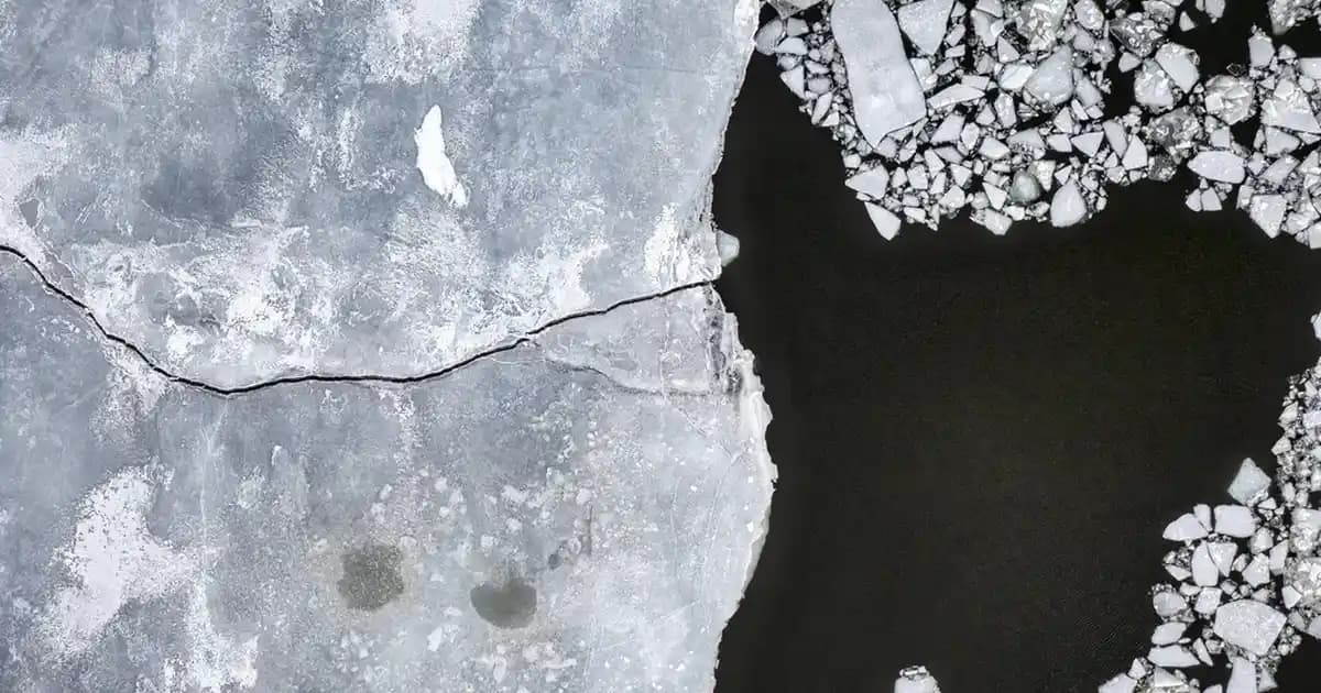 Niacin B3'nin Kozmetik Sektöründeki Rolü ve Cilt Sağlığına Faydaları