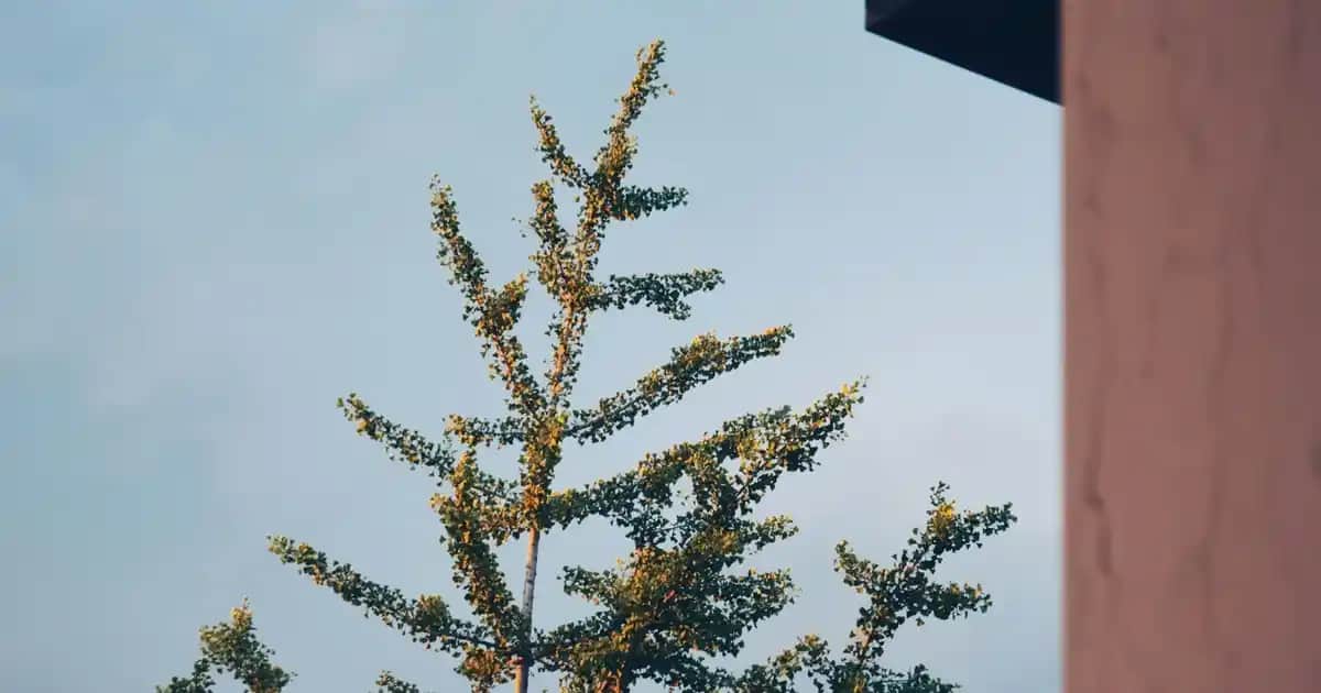 Niacinamide ve Çinko İçeren Serumlar: Cilt Sağlığı İçin Güçlü ve Etkili Bir Kombinasyon