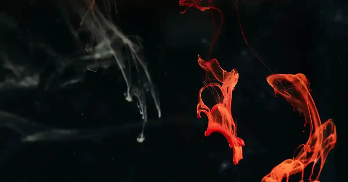 Nuxe Huile Prodigieuse Çok Amaçlı Kuru Yağ: Doğal İçeriklerle Güzellik ve Bakım