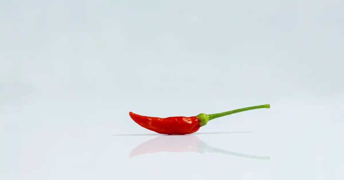 NYX Makyaj Ürünleri: Trendleri Yakından Takip Eden Uygun Fiyatlı Kozmetik Seçenekleri