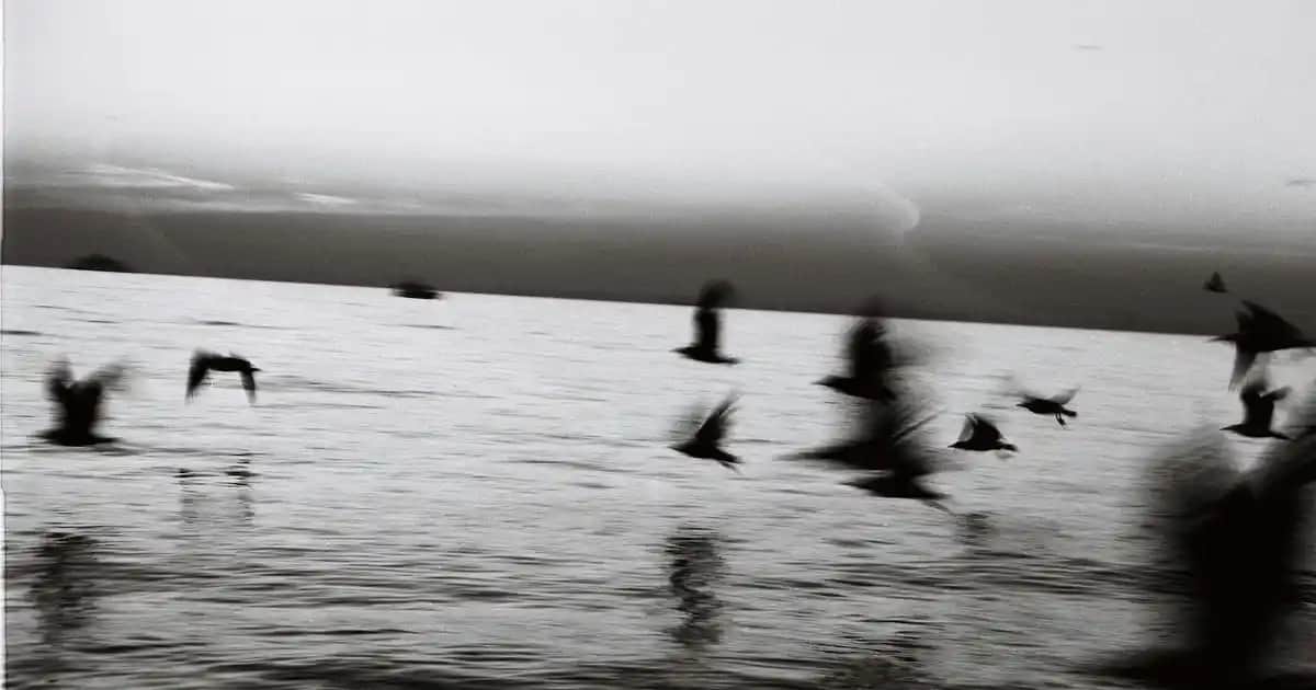 Online Eczane ve Kozmetik Ürünleri ile Dijital Dönüşüm Çağında Güvenilir Alışveriş Rehberi