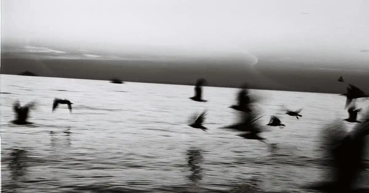 Online Eczane ve Kozmetik Ürünleri ile Dijital Dönüşüm Çağında Güvenilir Alışveriş Rehberi