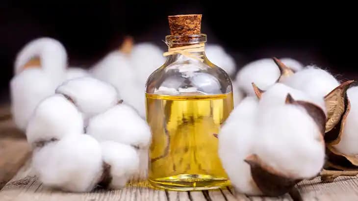 Pamuk Yağı ve Kozmetik Sektöründeki Yeri: Doğal Bakım İçin Güvenilir Bir Bileşen