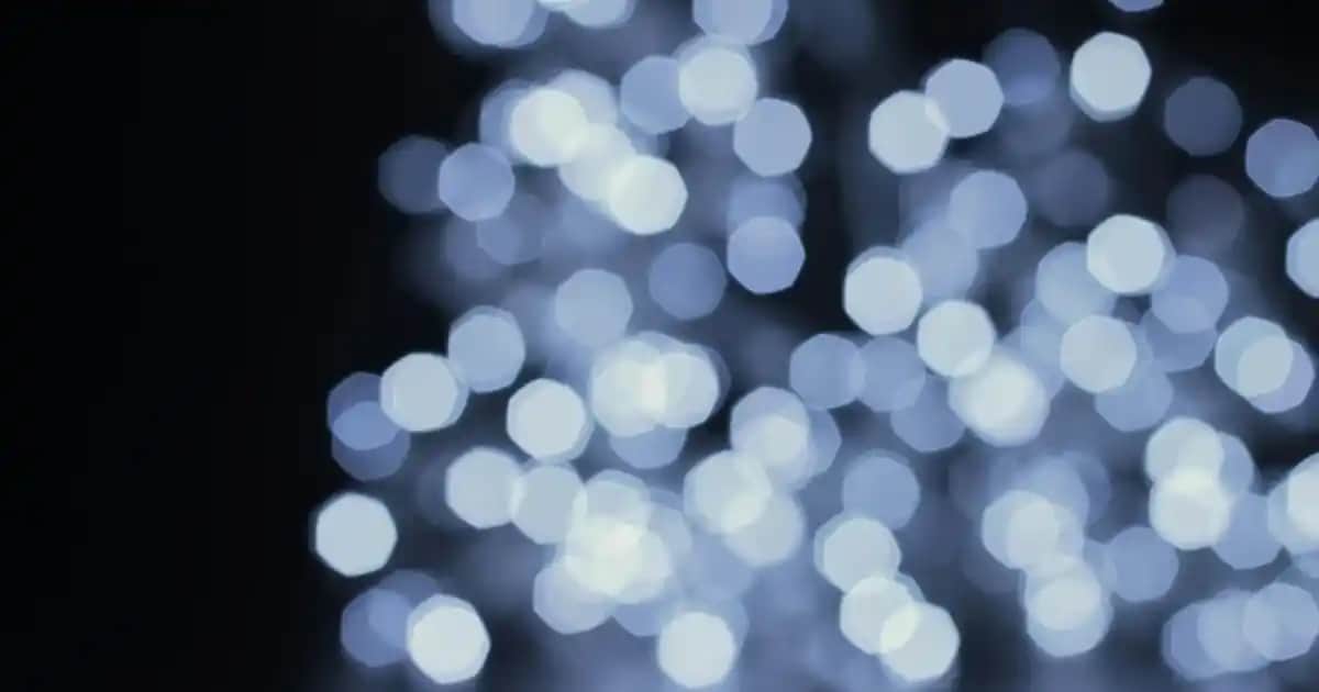 Protez Tırnak Jel Çeşitleri: Estetik ve Dayanıklılık İçin Güncel Bilgiler