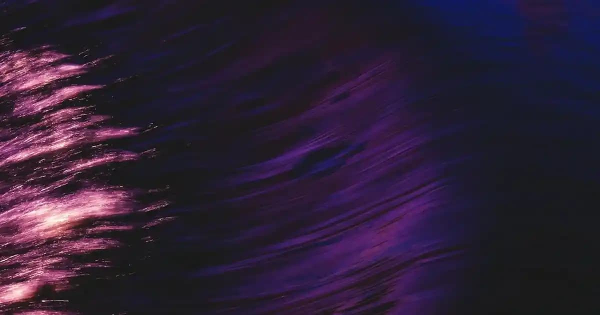 PUR Blanca Parfüm: Zarif Aroması ve Uzun Süreli Etkisiyle Günlük ve Özel Kullanım İçin Ideal