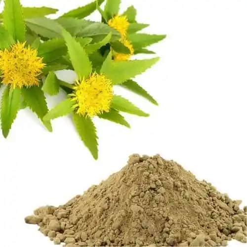 Rhodiola Ekstresi ve Kozmetik Sektöründe Yenilikçi Kullanım Alanları
