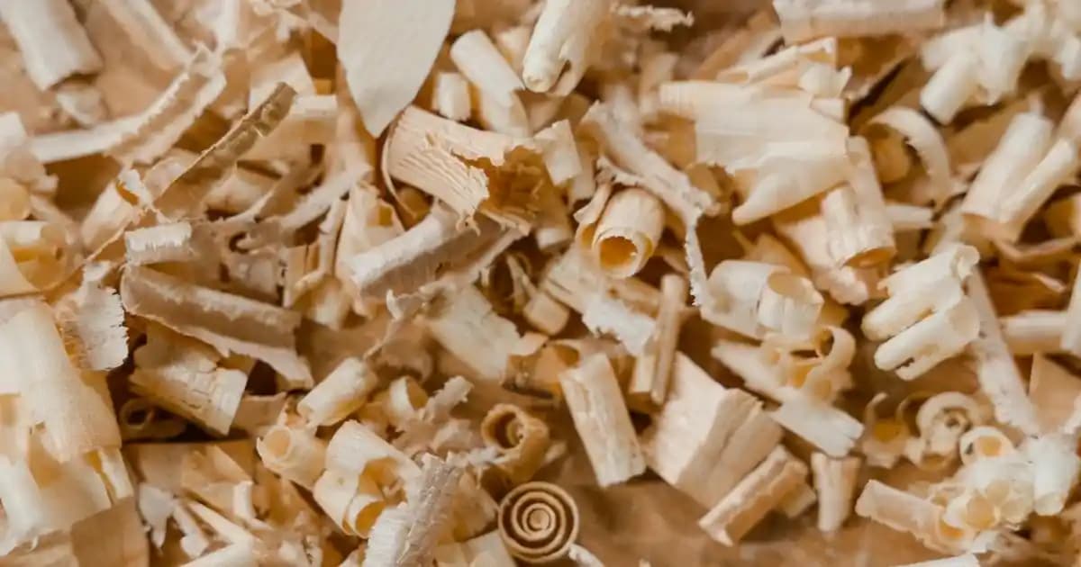 Saç Boyası Sirkeleri Güvenliği ve Kullanım Rehberi: Ölür mü Endişeleri ve Dikkat Edilmesi Gerekenler