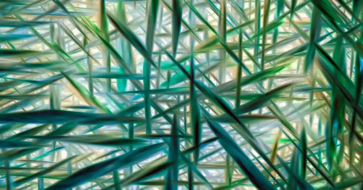 Saç Derisi Kalkması Nedenleri, Belirtileri ve Doğal Tedavi Yöntemleri