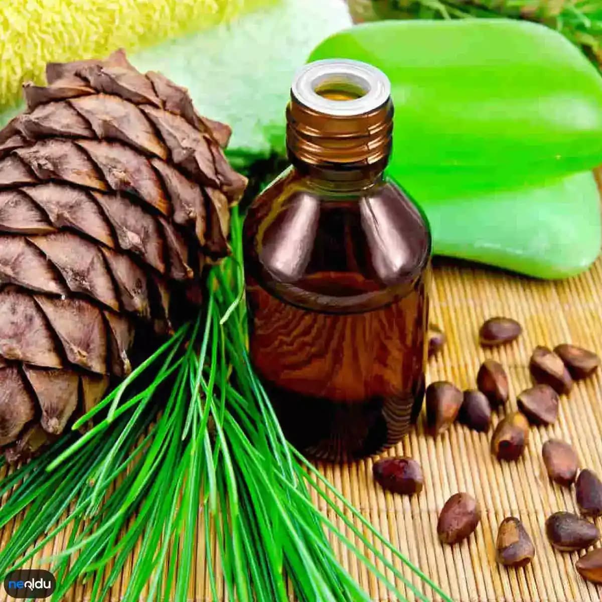 Saç Diplerine İyi Gelen Doğal Yağlar ve Saç Sağlığını Destekleyen Yöntemler