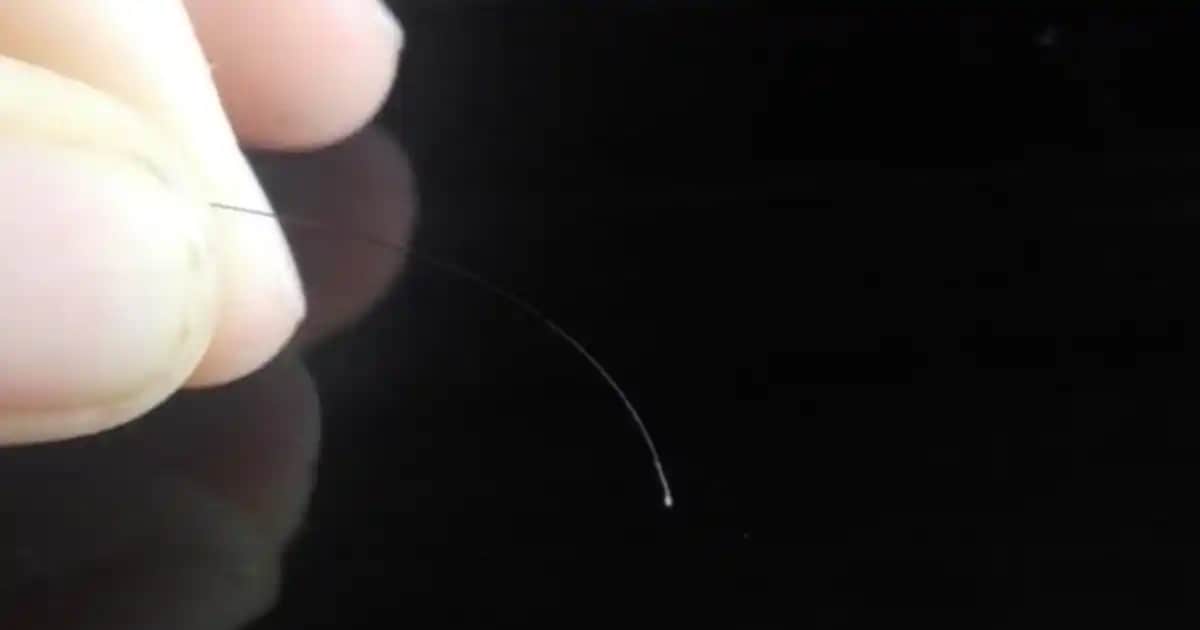 Saç Kökündeki Beyazlık Nedenleri ve Kozmetik Bakım Yöntemleri Analizi