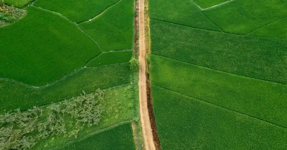 Sakal Uzatma Yöntemleri ve Bakım İpuçlarıyla Daha Dolgun Sakallar Elde Edin