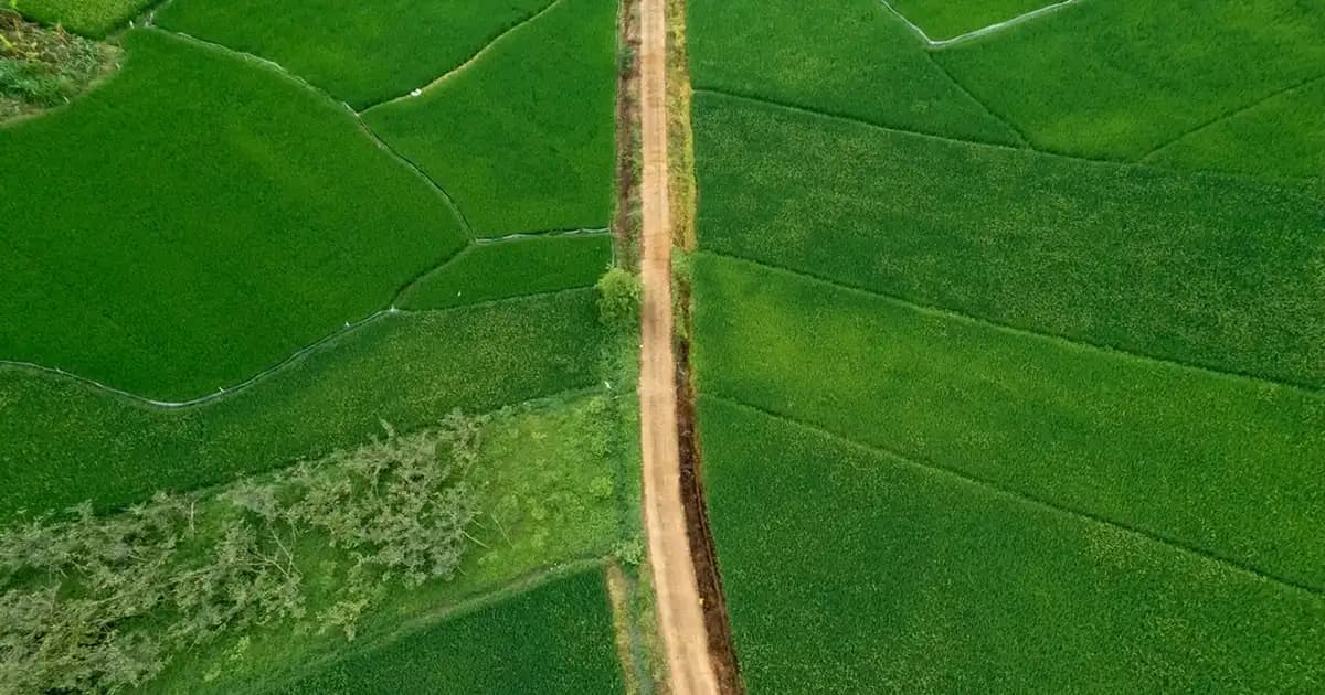 Sakal Uzatma Yöntemleri ve Bakım İpuçlarıyla Daha Dolgun Sakallar Elde Edin