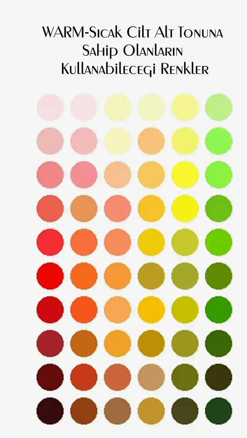 Sıcak Alt Tonlu Ciltler İçin Kozmetik Rehberi ve Doğru Ürün Seçim İpuçları