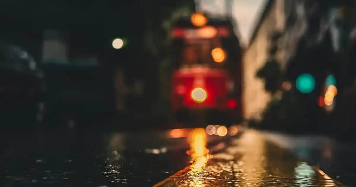 Signal Vertical Expert diş fırçası özellikleri ve doğru kullanım ipuçları