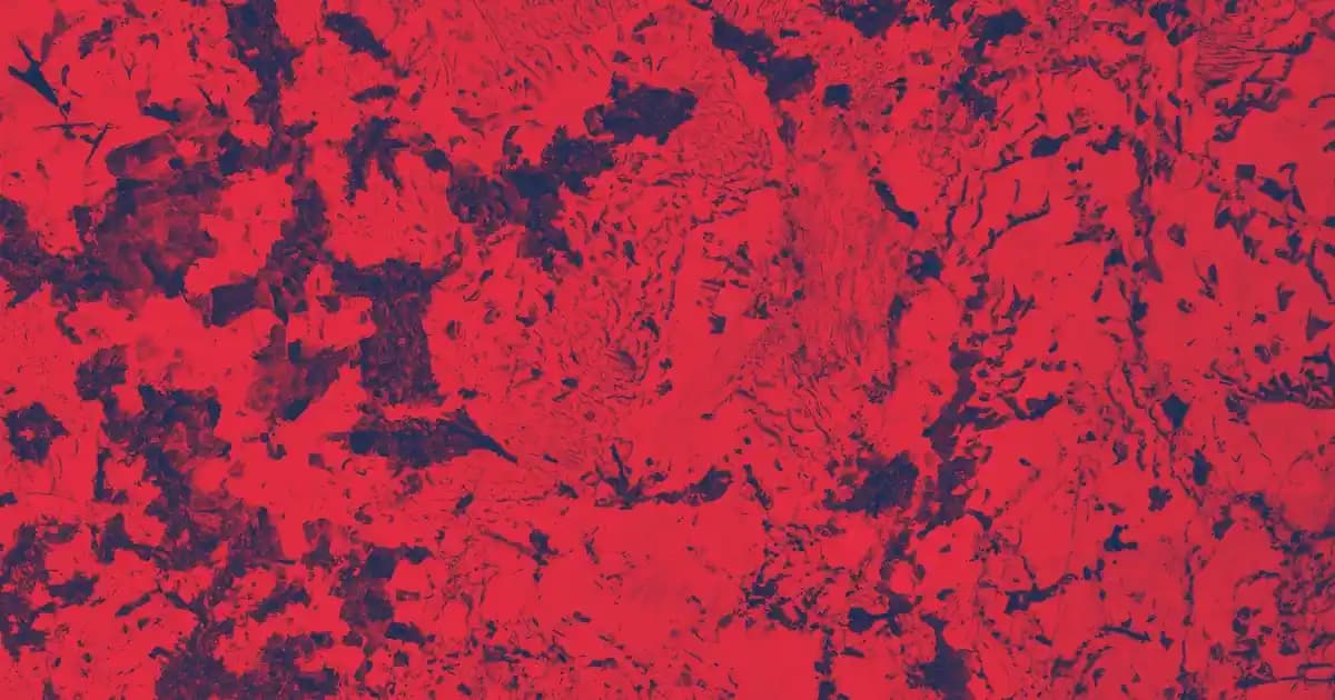 Signal White Now Diş Macunu ile Güvenilir Beyazlık ve Ağız Sağlığı Çözümü