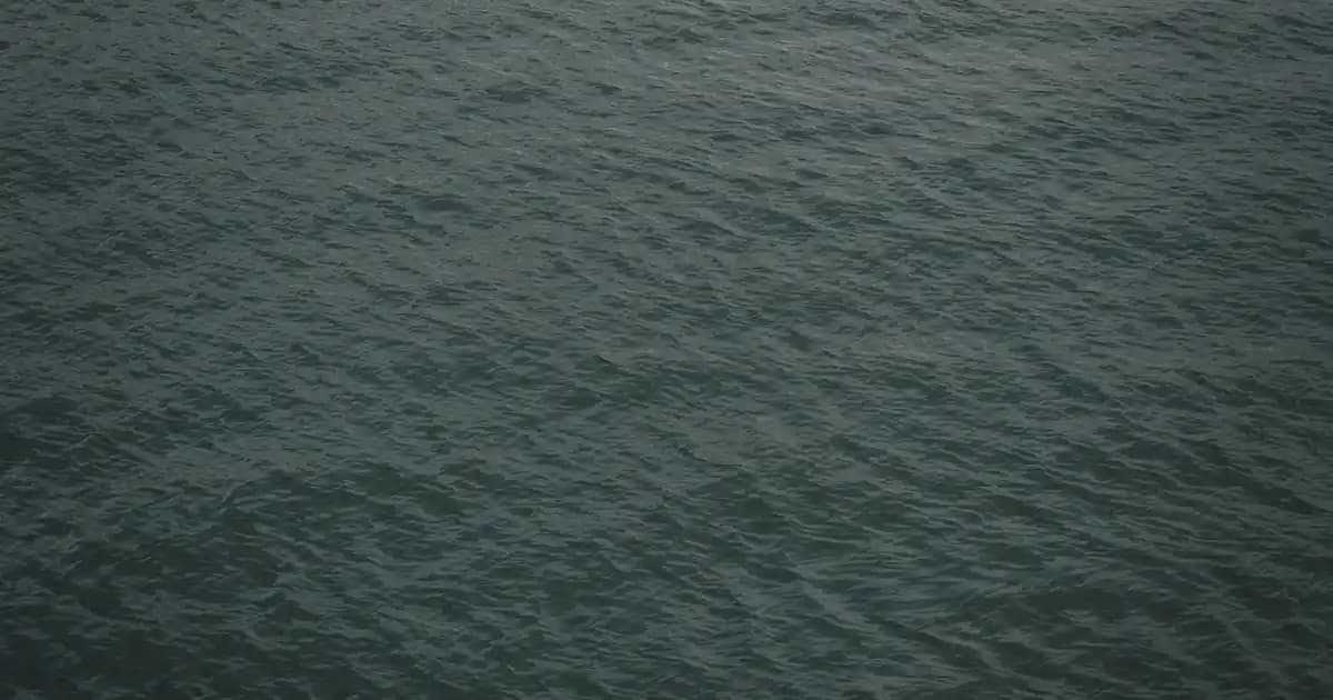 Sırtta Siyah Lekelerin Nedenleri ve Giderilmesi İçin Etkili Yöntemler