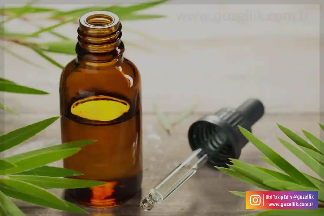 Sivilceler İçin Çay Ağacı Yağı Kullanımı ve Doğal Cilt Bakımı Rehberi