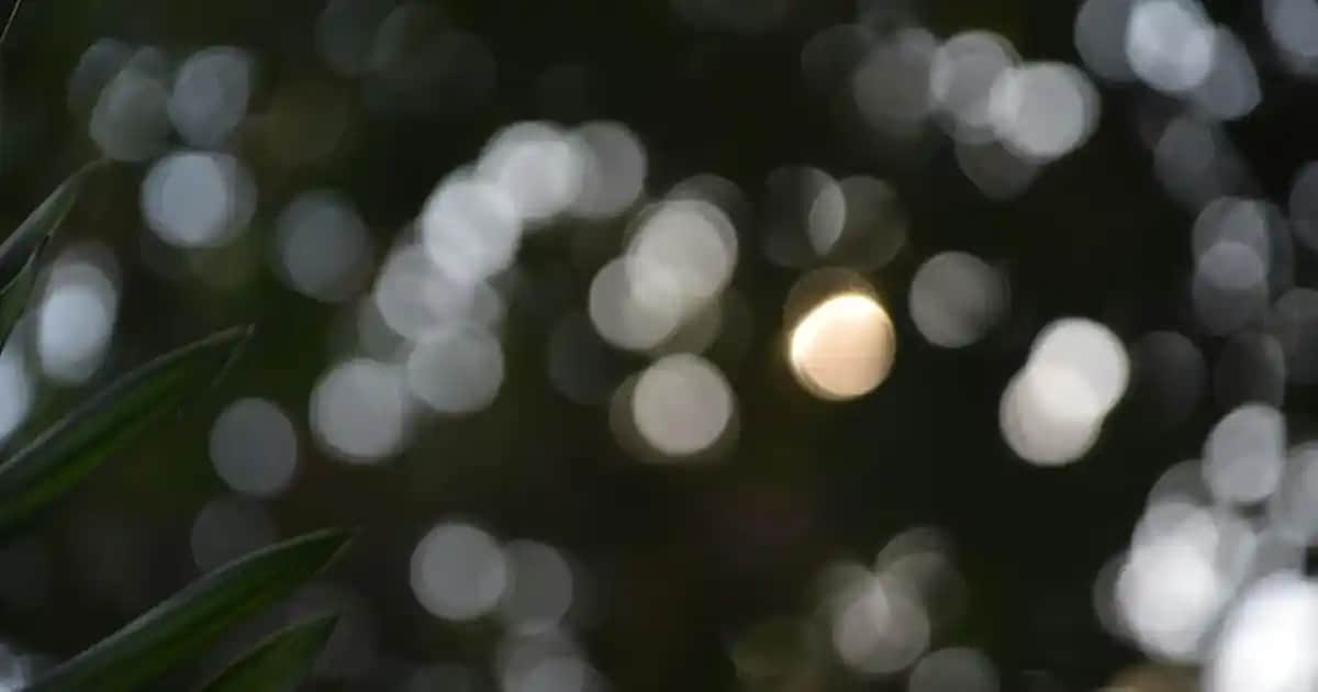 Siyah Lekelere Karşı Etkili Çözüm Yolları ve Cilt Bakım Tavsiyeleri