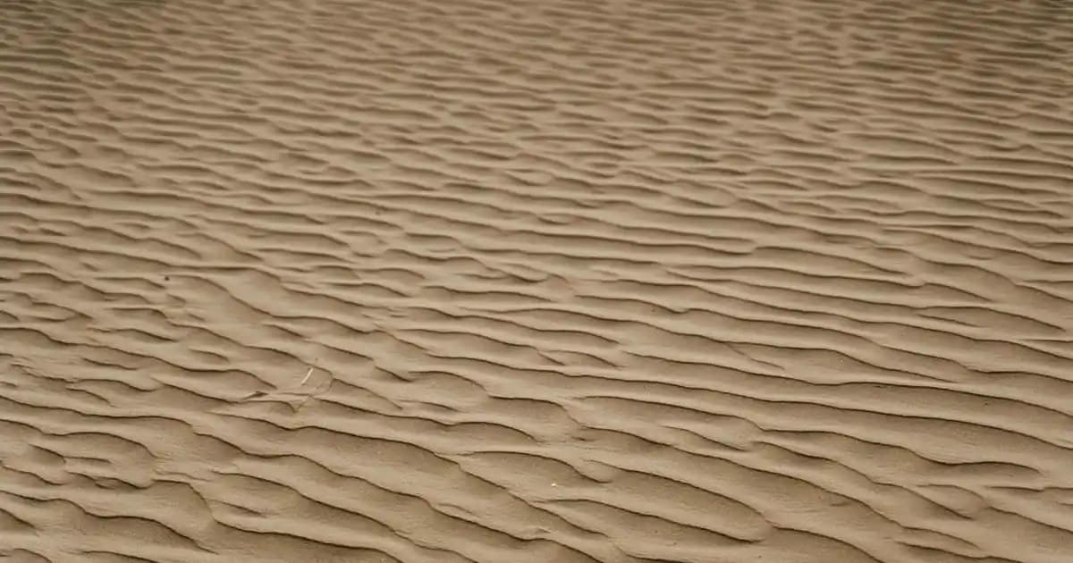 Siyah Nokta Temizliği İçin Evde Uygulanabilir Etkili Yöntemler ve Cilt Bakımı İpuçları