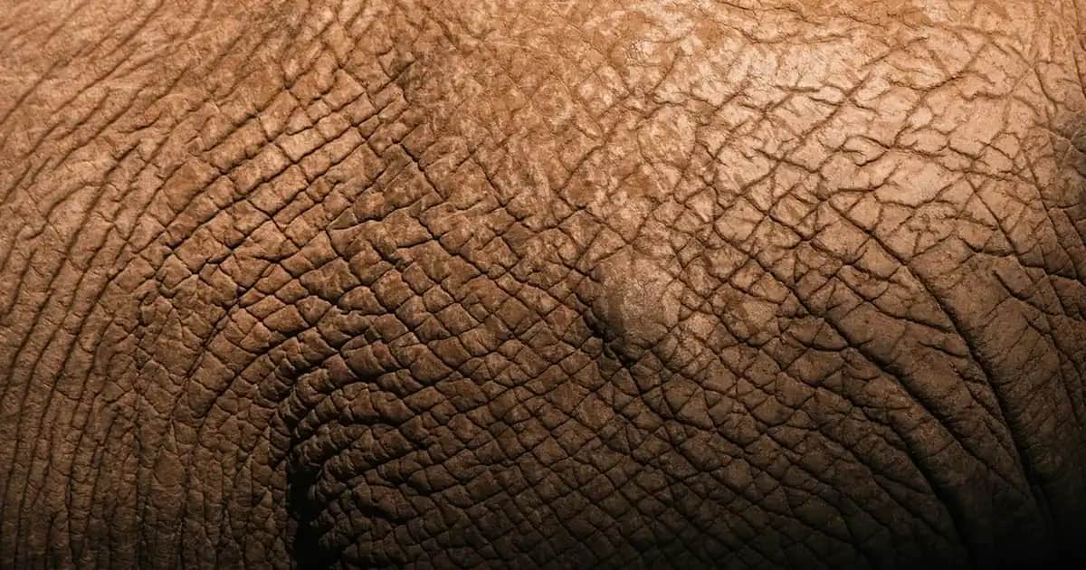 Siyah Noktalar ve Sivilce Tedavi Yöntemleri: Cilt Bakımında Güncel Yaklaşımlar