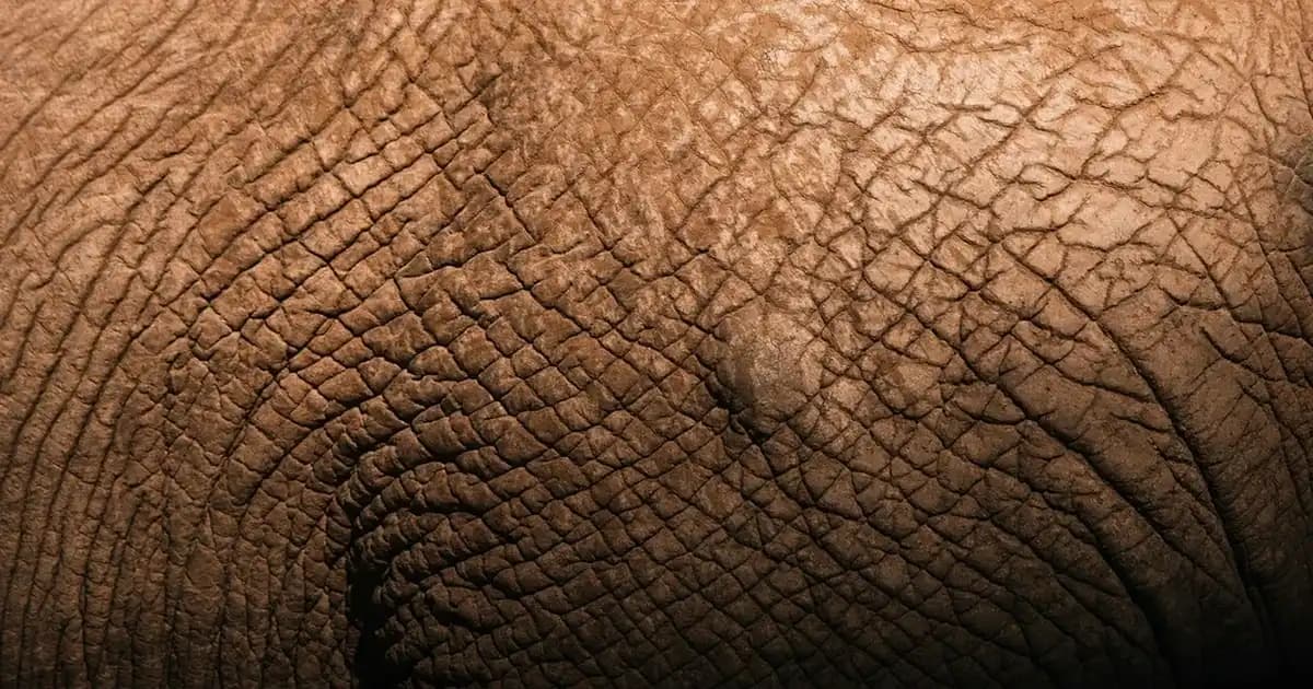 Siyah Noktalar ve Sivilce Tedavi Yöntemleri: Cilt Bakımında Güncel Yaklaşımlar