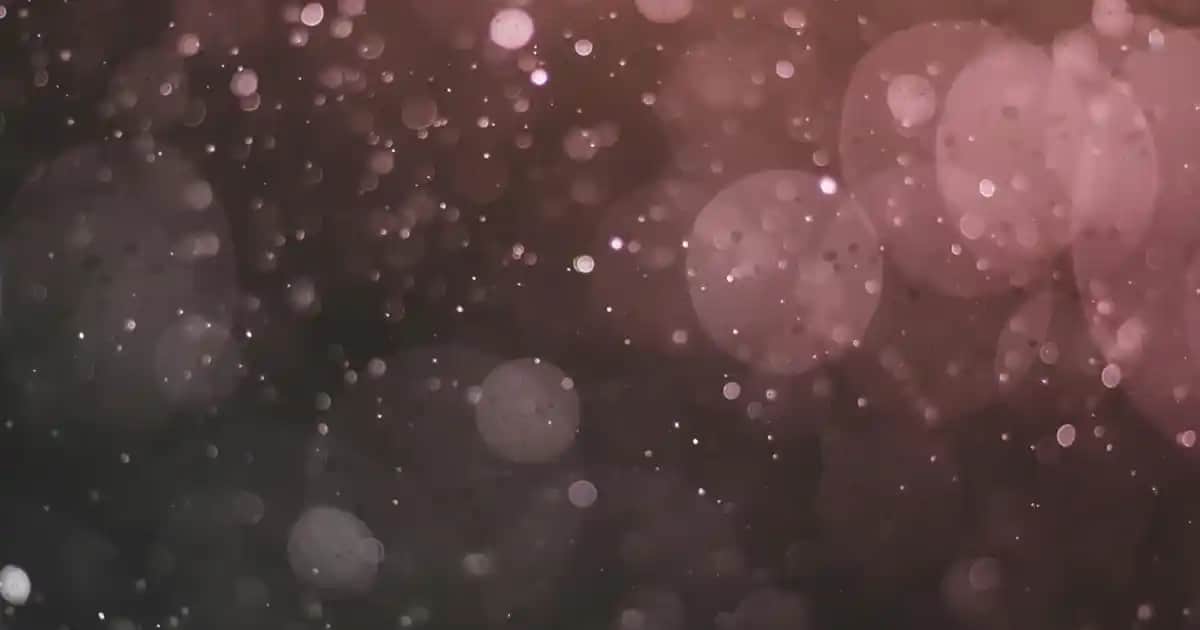 Toprak Tonlarında Makyaj: Doğallık ve Şıklığın Modern Buluşması