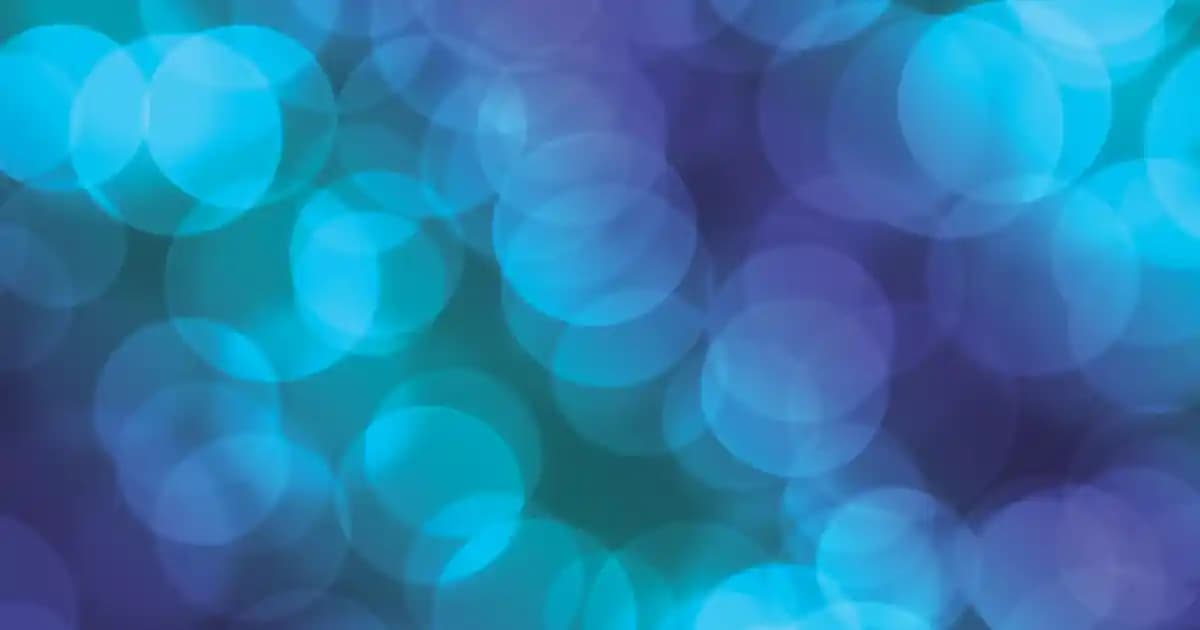 Victoria's Secret Bare Vanilla Parfümünün Ekonomik Muadili Bargello Ürünleri Hakkında Detaylar