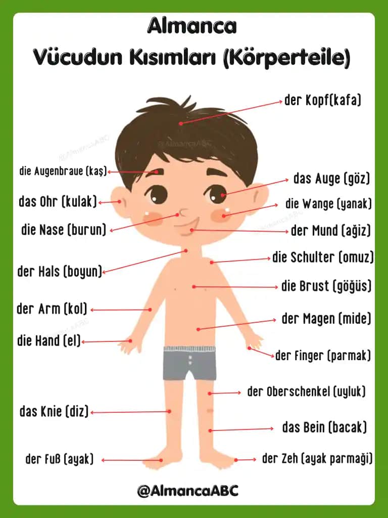 Vücut ve Yüzde Kızarmanın Nedenleri ve Kozmetik Çözüm Yöntemleri