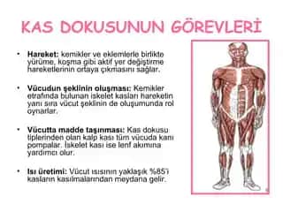 Vücutta Kesikler ve Kozmetik Bakım: Sağlıklı ve Güzel Bir Cilt İçin Rehber