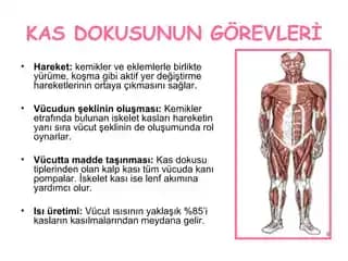 Vücutta Kesikler ve Kozmetik Bakım: Sağlıklı ve Güzel Bir Cilt İçin Rehber