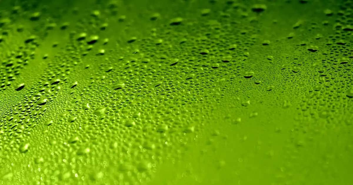 Vücutta Kızarıklık Sorunu ve Kozmetik Bakım Yöntemleri Hakkında Bilgilendirici Rehber