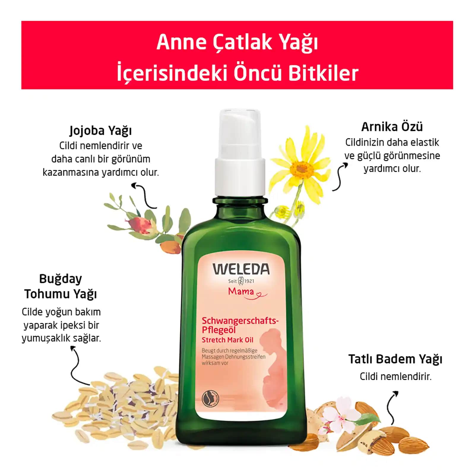 Weleda Anne Çatlak Yağı: Doğal ve Güvenilir Gebelik Dönemi Cilt Bakım Ürünü