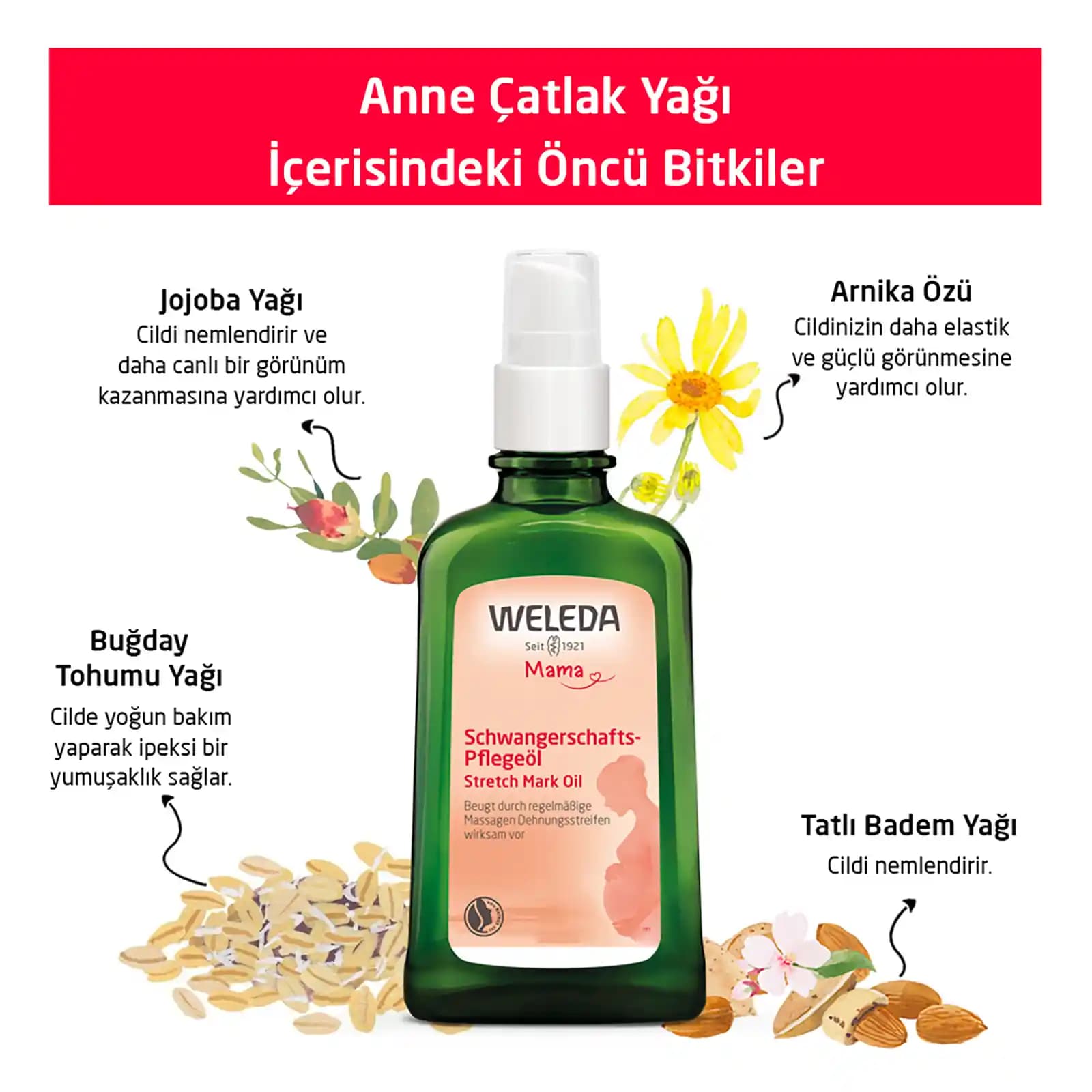 Weleda Anne Çatlak Yağı: Doğal ve Güvenilir Gebelik Dönemi Cilt Bakım Ürünü
