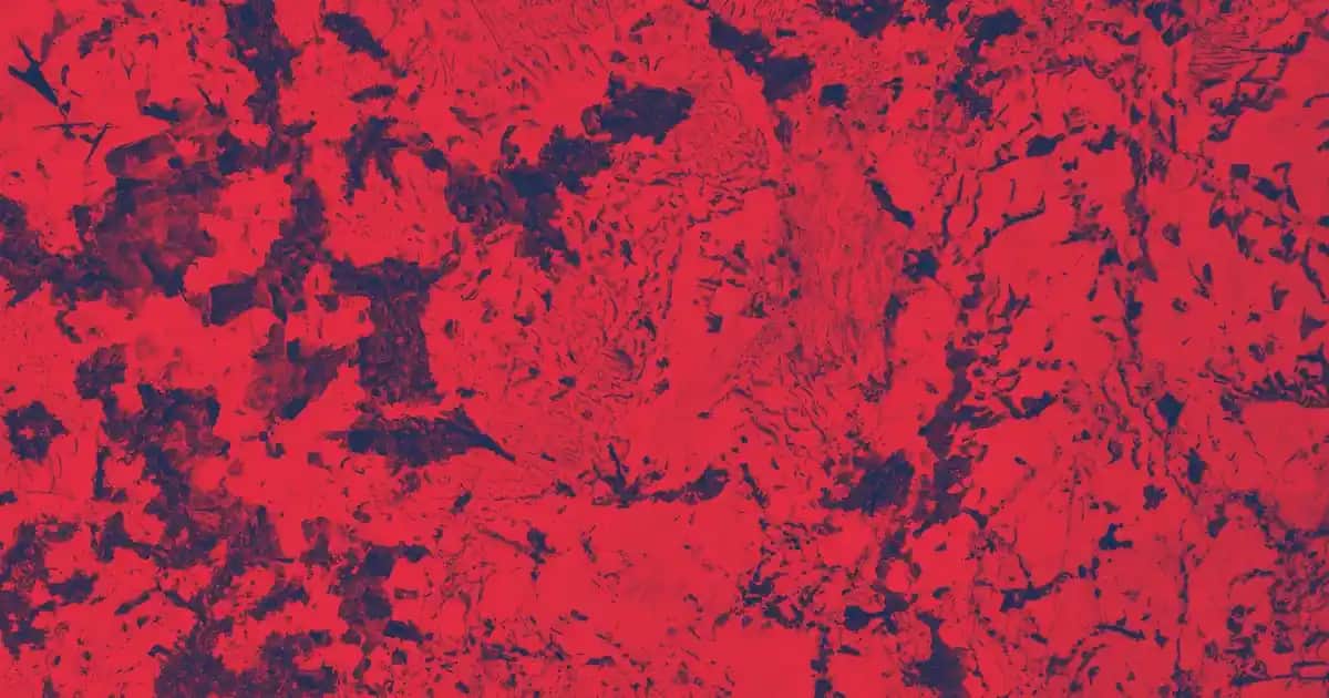 Yağ Bezeleri İçin Serumlar ve Cilt Sağlığı İçin Doğru Bakım Yöntemleri